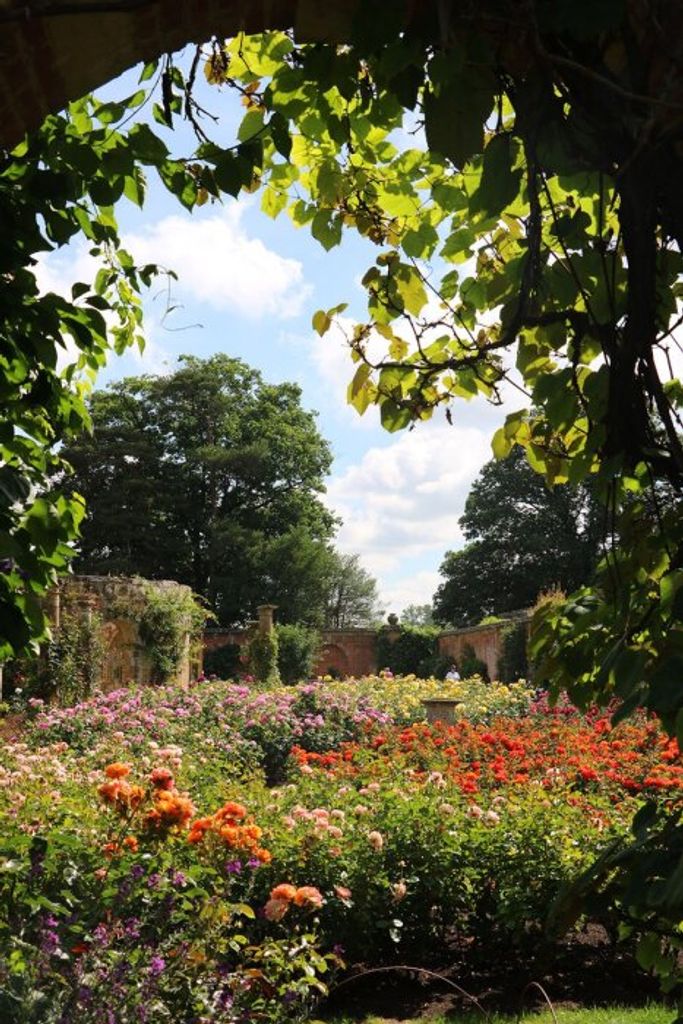 Alden "Frank" Lett Profile Photo