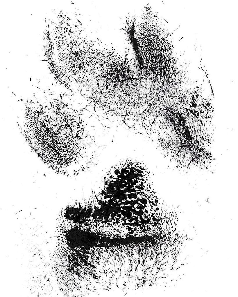 Ray Duggins Profile Photo