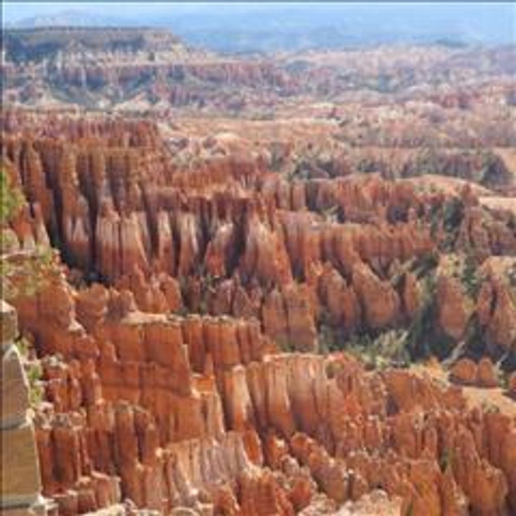 Timothy Cleve Campbell