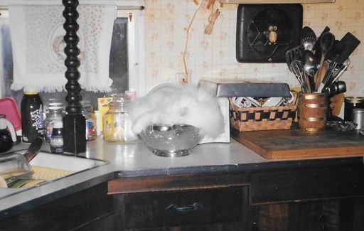 Linda L. Dilling photo gallery thumbnail 33 of 79