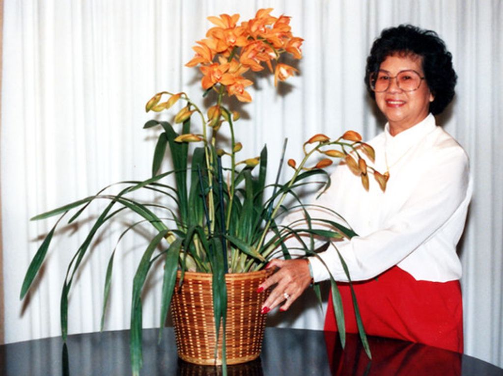 Evelyn Lau Profile Photo