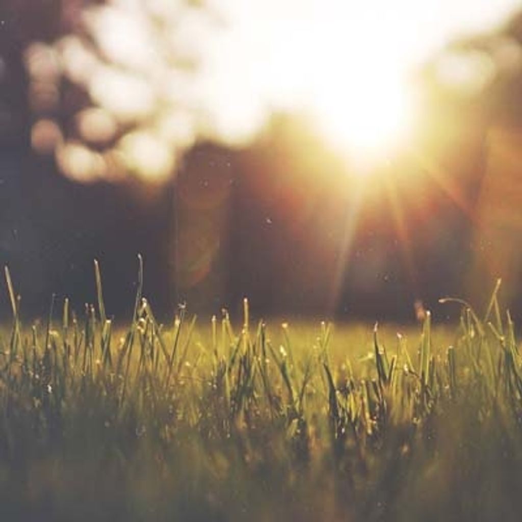 Tracy Reid Bateman Profile Photo