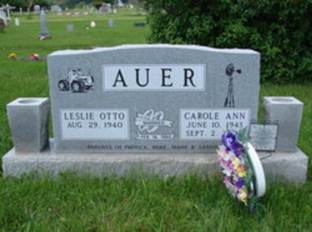 Carole Ann Auer