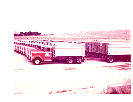 Vion LaVern Johnston photo gallery thumbnail 1 of 49