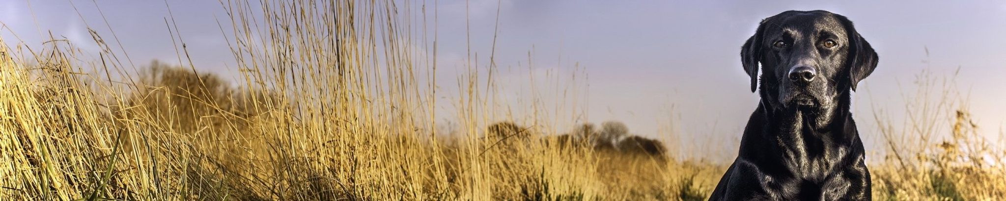 Cover for Kathy A. Demers's Obituary