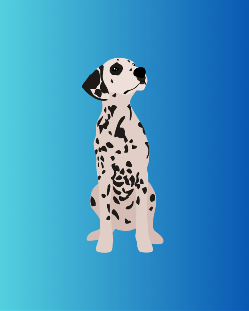 Izzy Suhr Profile Photo