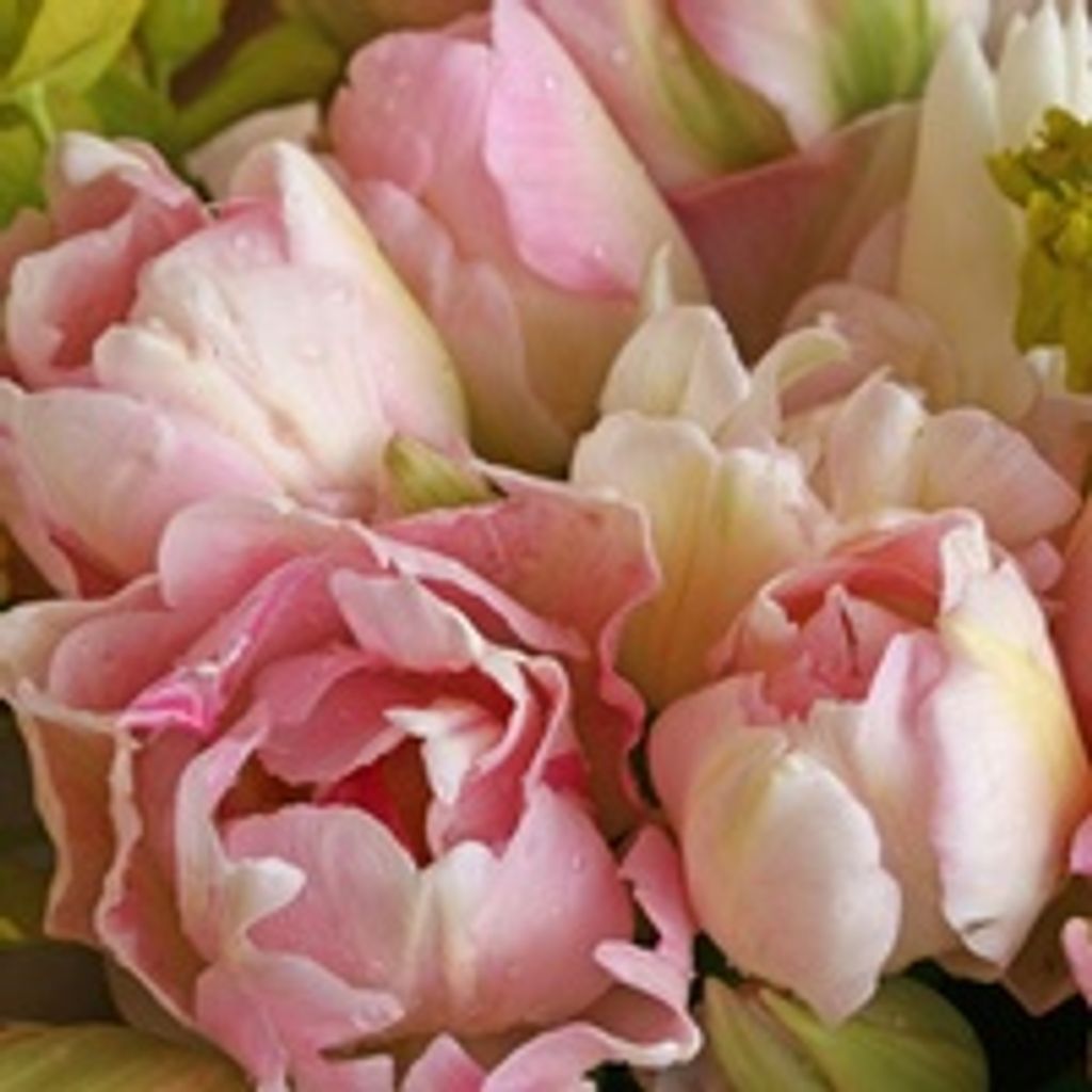 Joyce Ann Harmon Weeks Profile Photo