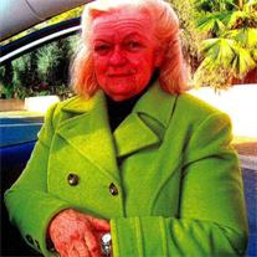 Nancy Ann Shaw