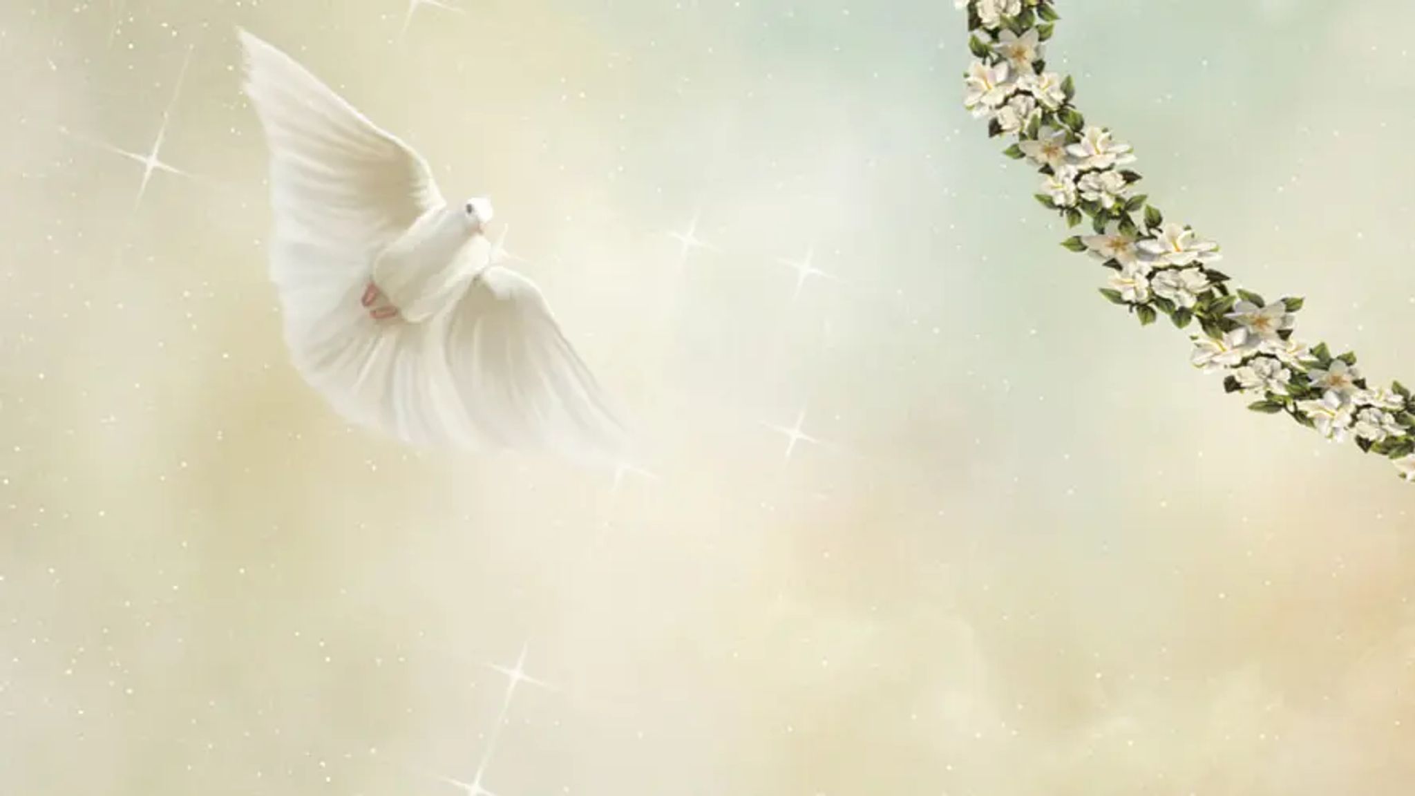 Cover for Jerry Ann Scott's Obituary