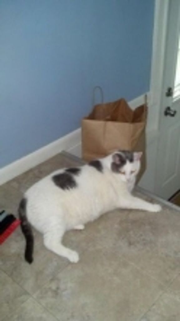 Zack Wierenga Profile Photo