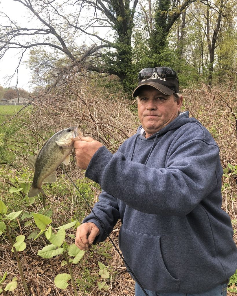 Howard Saltmer Profile Photo