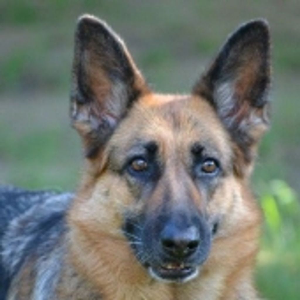 Rikka Kandelac Profile Photo