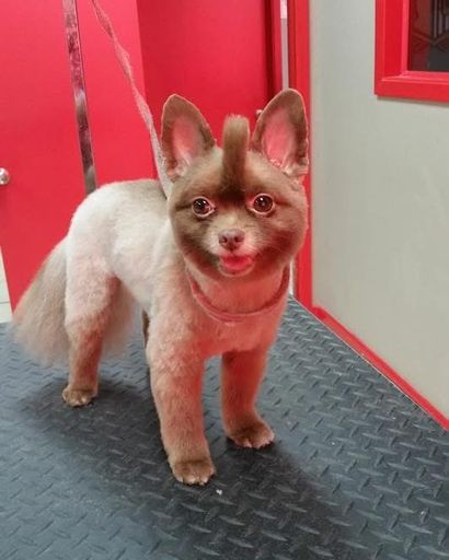 Fennec ?'s obituary image