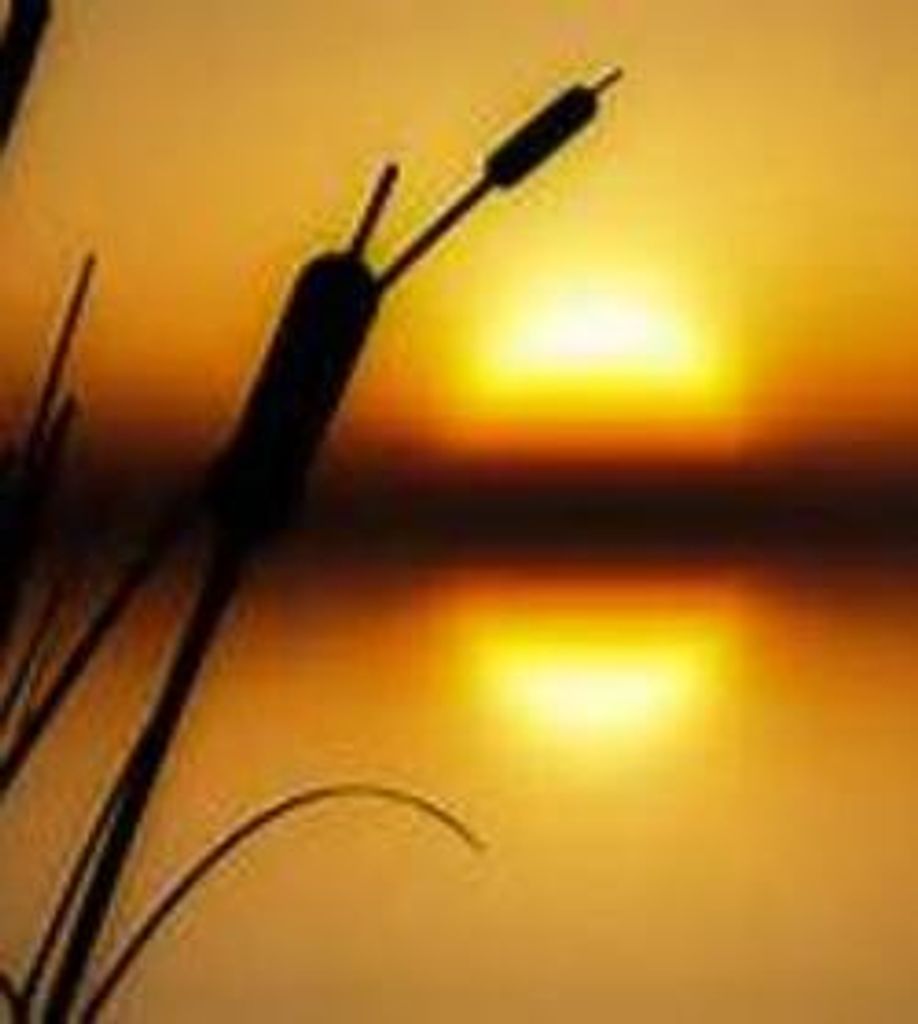 Clark Earl Wicklund Sr