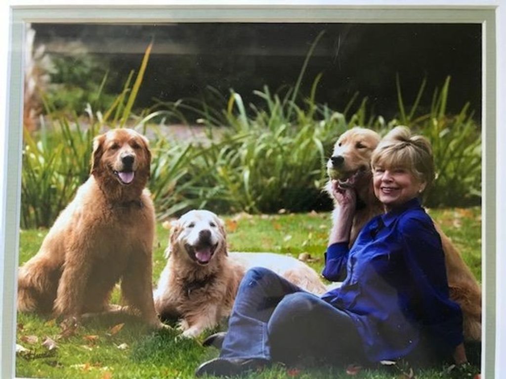 Laurie Brown Cott Profile Photo