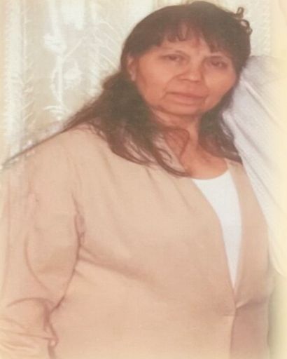 Margarita Cabrera Profile Photo