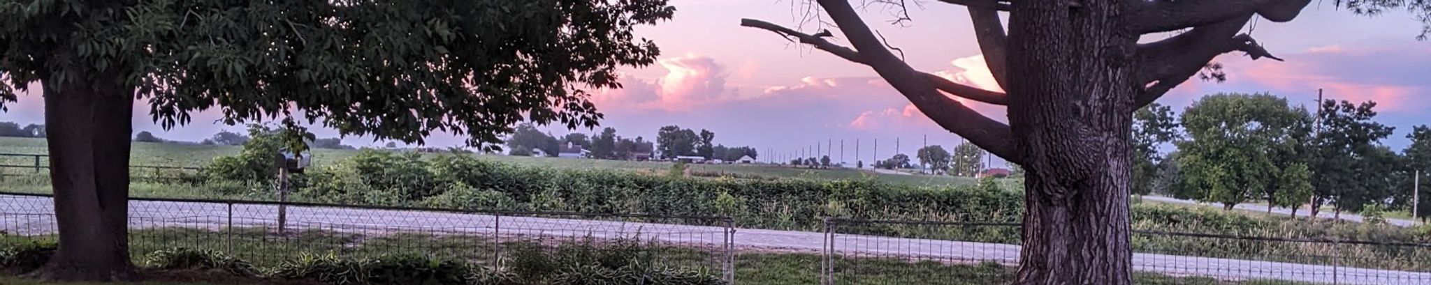 Cover photo for David Gingerich's Obituary