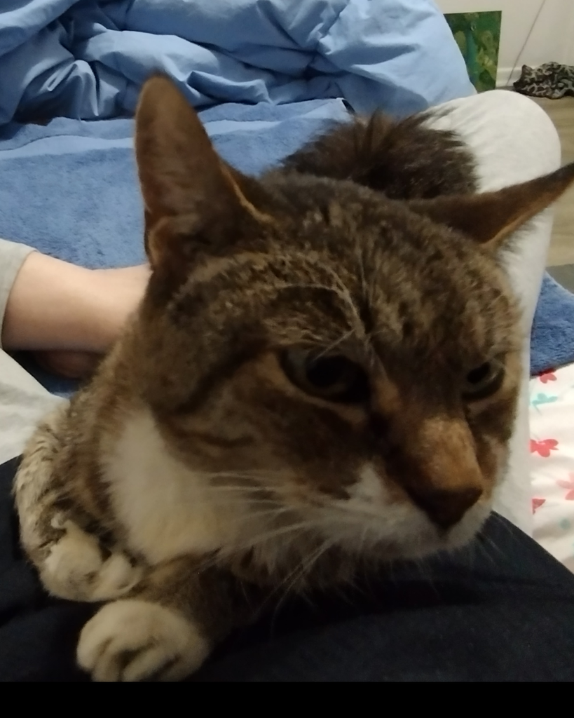 Mama Profile Photo
