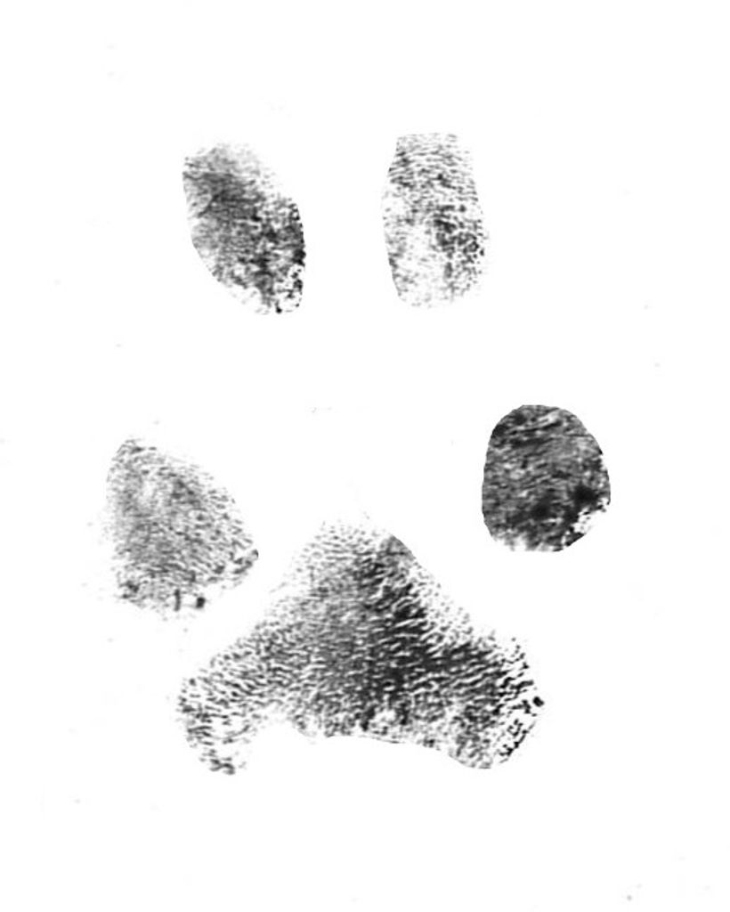 Whoopi Kahhill Profile Photo