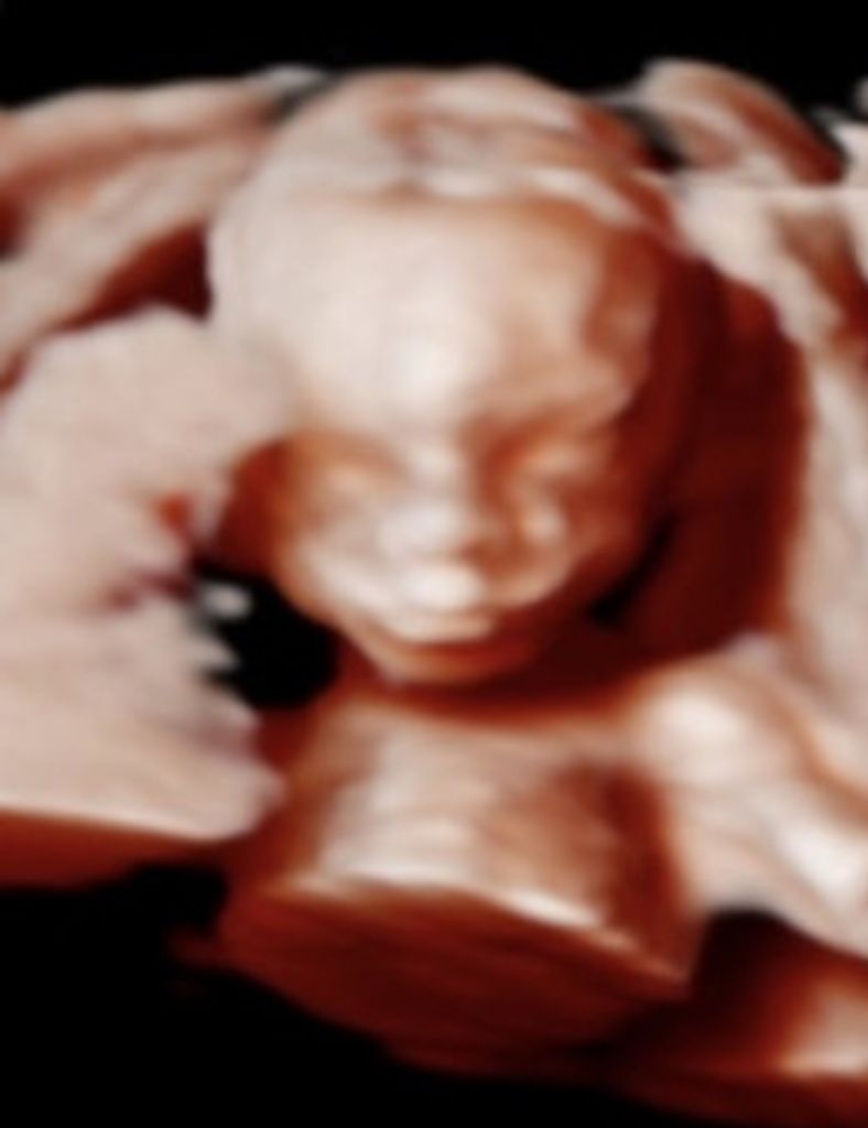 James Kelvin Southerland, Iii Profile Photo
