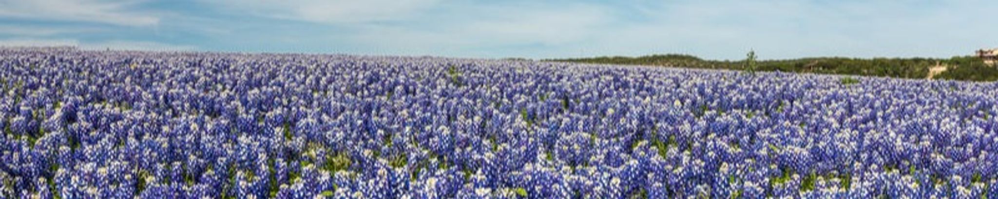 Cover photo for Jack Roach's Obituary