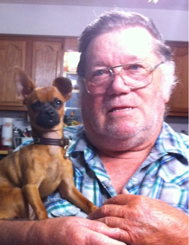 Harry Sparks Profile Photo