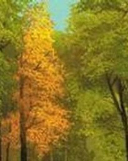 Clyde Dean Jones's obituary image