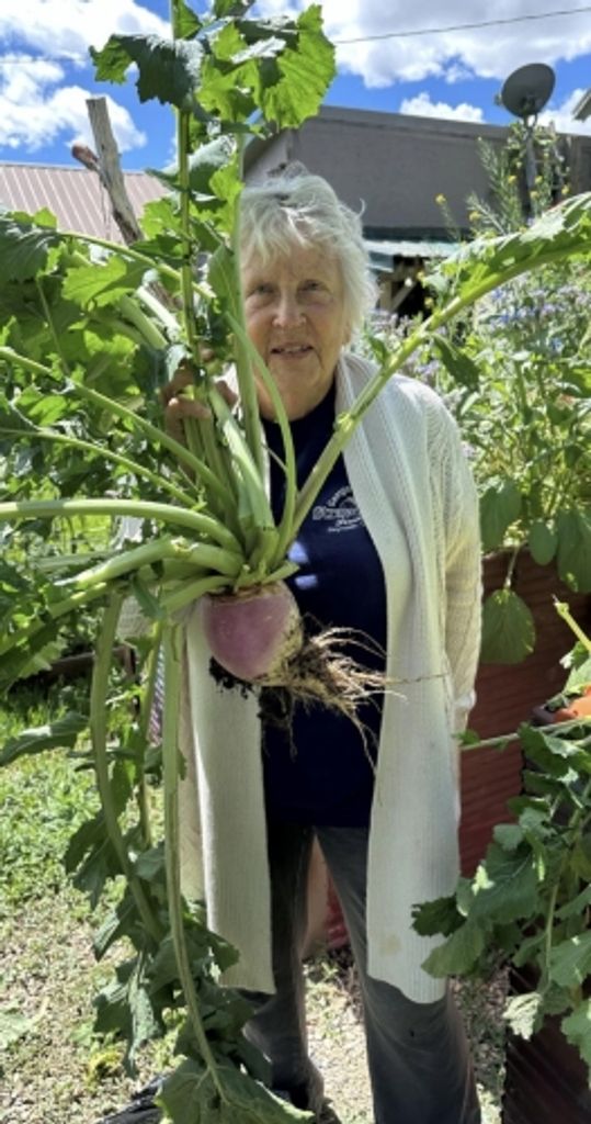 Sandra Eileen Fliniau Profile Photo