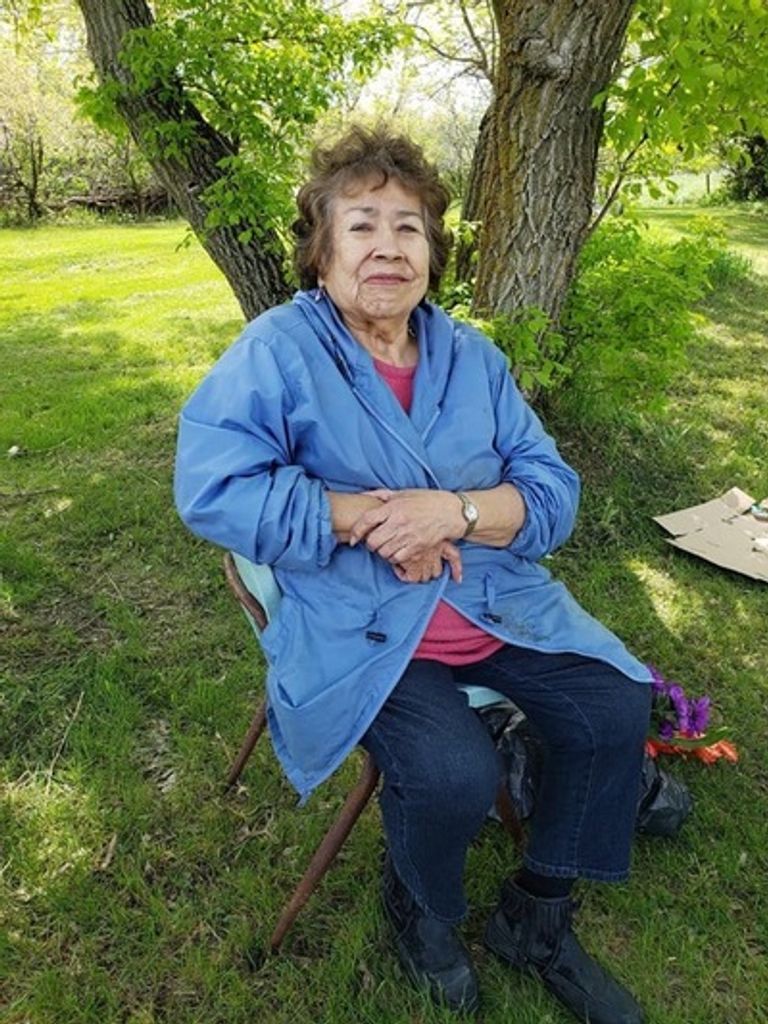 Janis Labatte Profile Photo