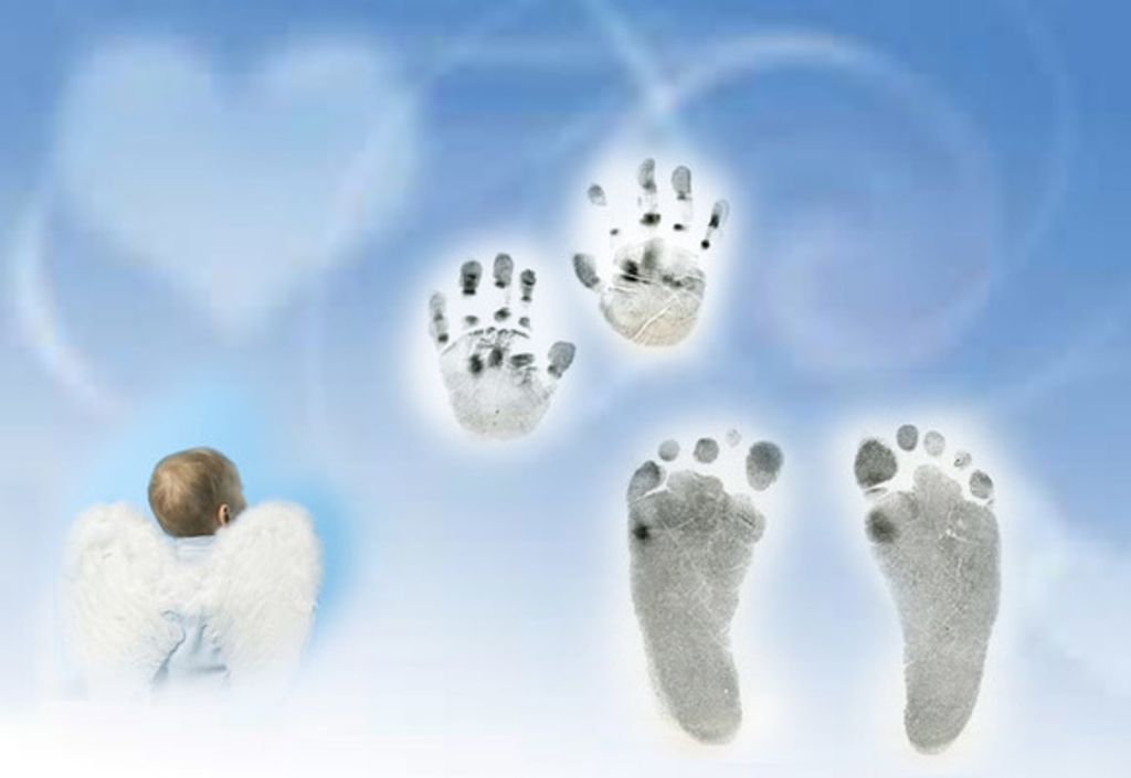 Baby Rene Segovia Jr.