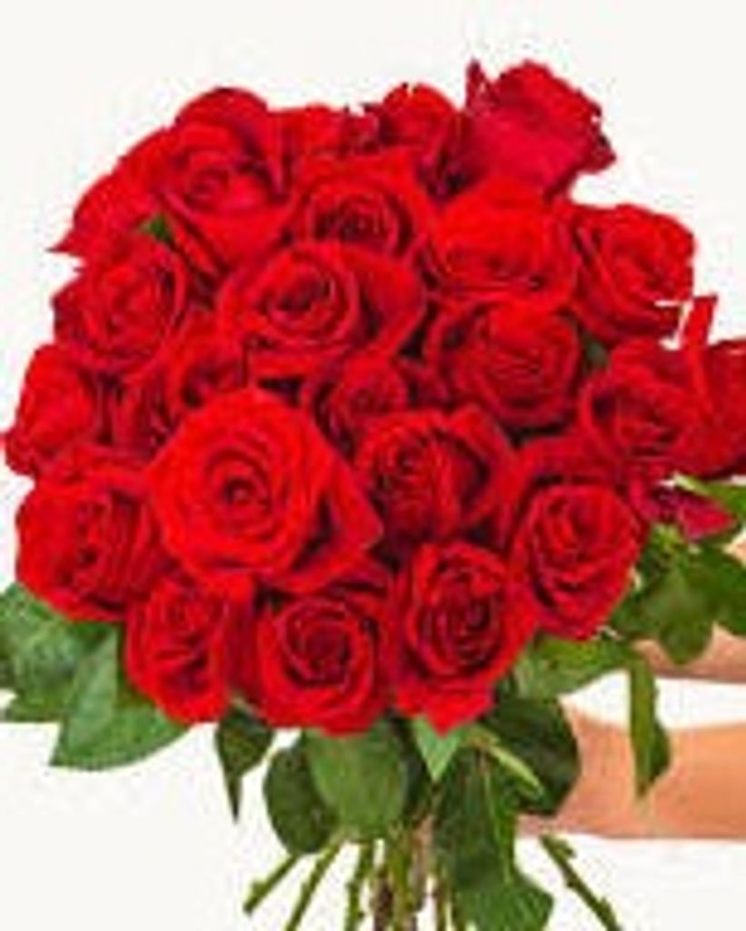 Jannie B. Newton Profile Photo