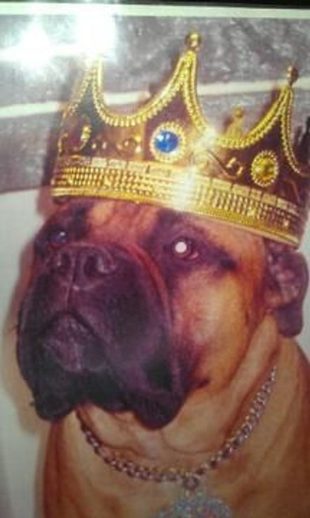 Zeus Claude