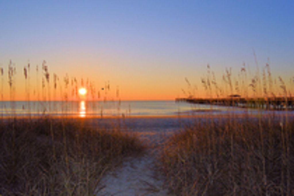 Cynthia (Cindy)  Mckinney