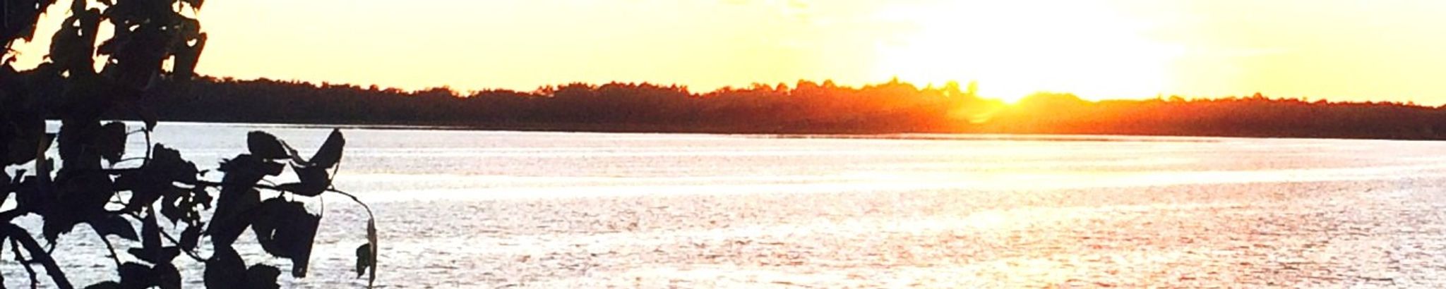 Cover for Eva F. Ethen's Obituary