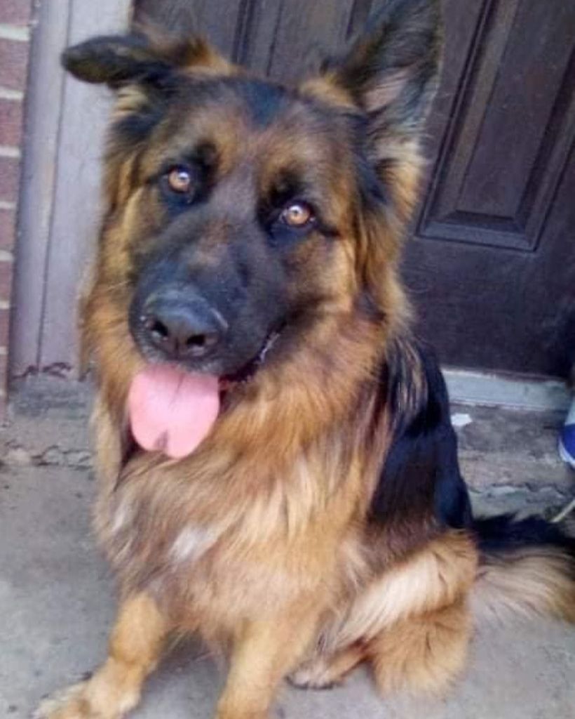 Zimba ♥