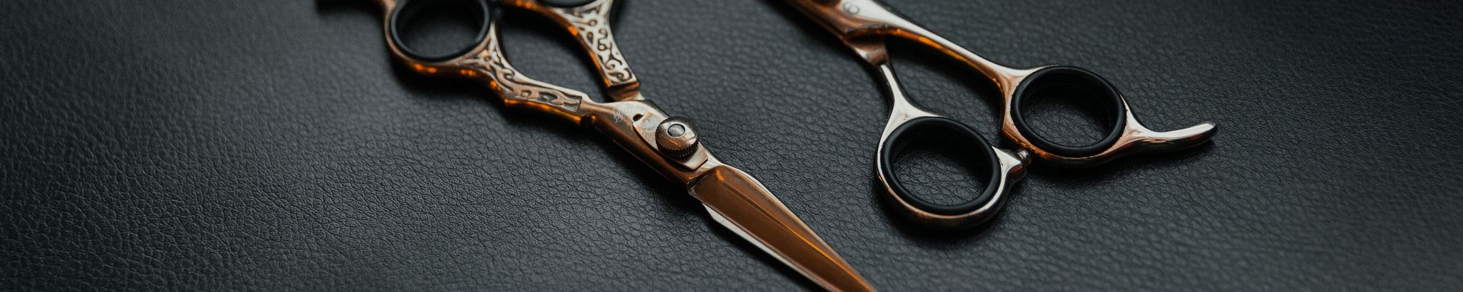 Cover for Barbara Ann Meyers's Obituary