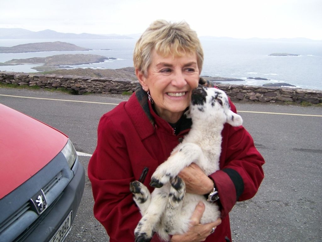 Patricia Ann Gavasso Profile Photo