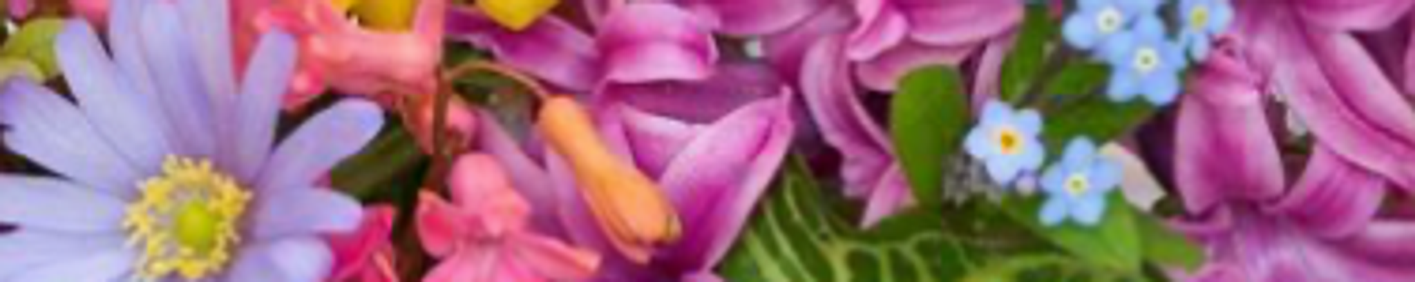 Cover for Ruby Southard's Obituary