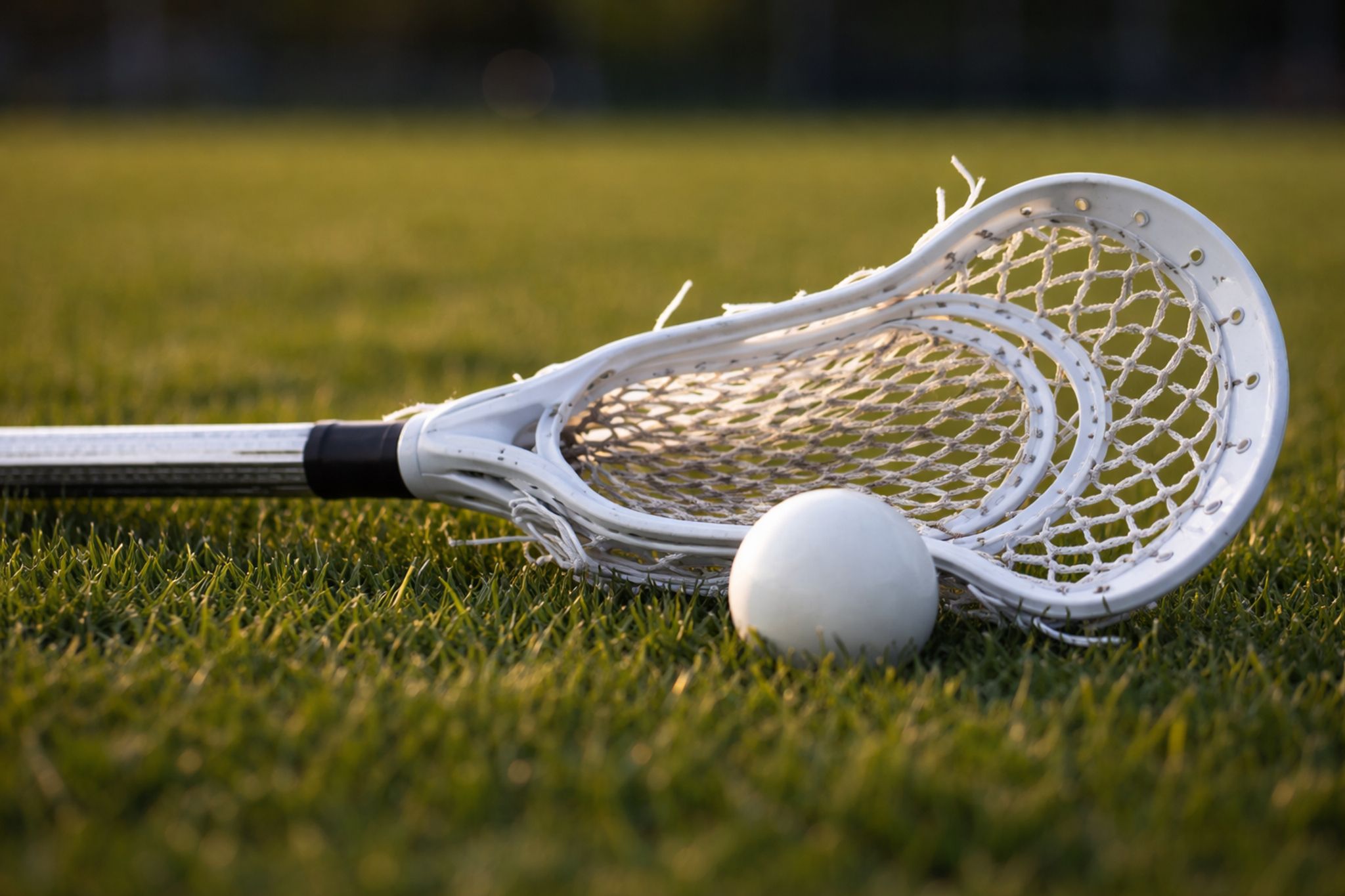 Cover for Lorenzo DiPasquale's Obituary