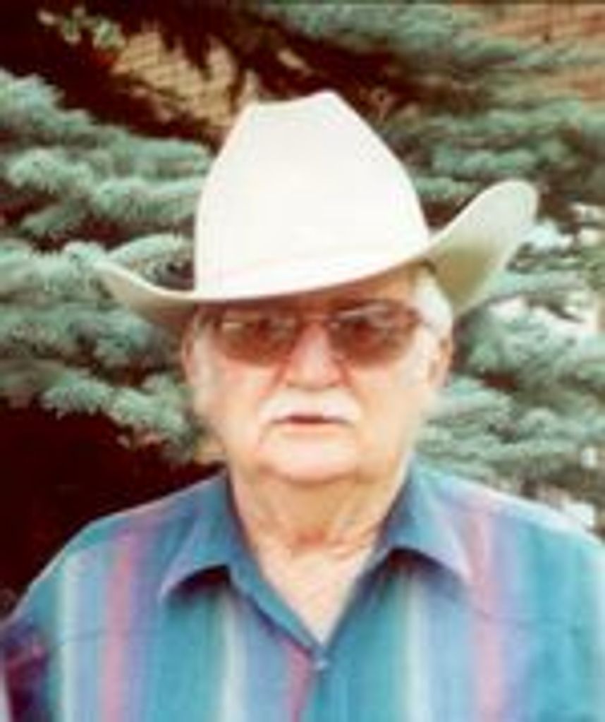 David Alma Stewart