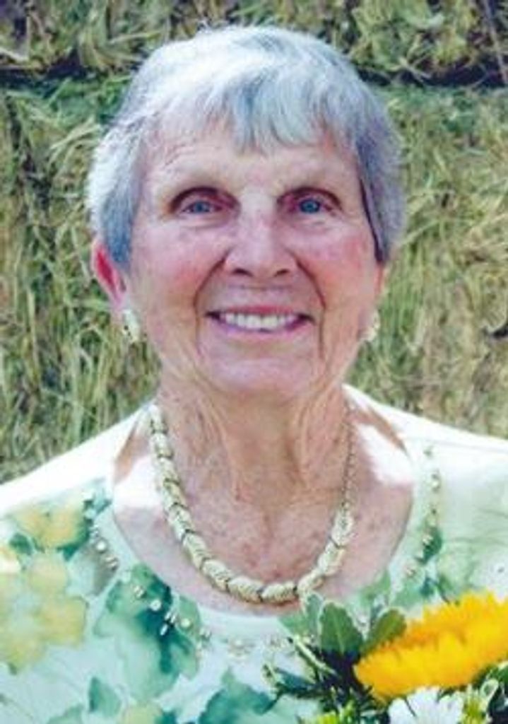 Sophia Acciari Seubert Profile Photo