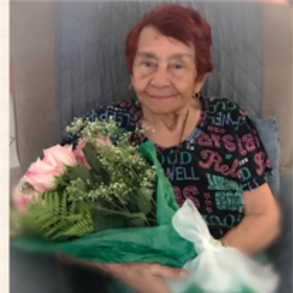 Ramona D. Avancini De Primera