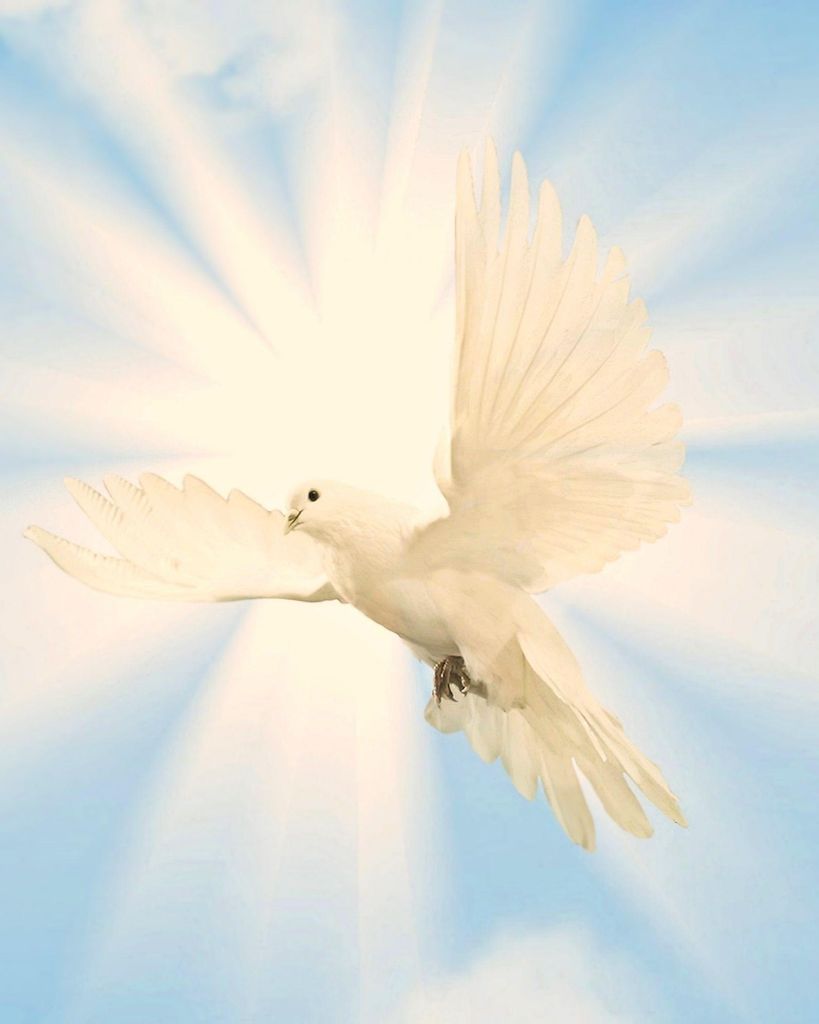 Polly Brown Profile Photo