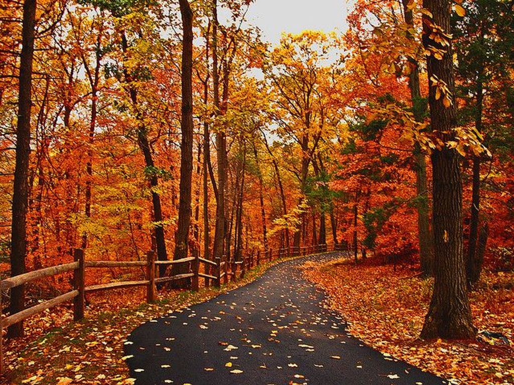 Chrystal Grigic Profile Photo