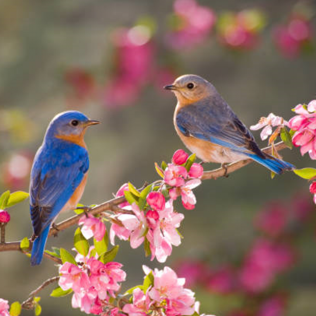 Lois E. Ladavatt Profile Photo