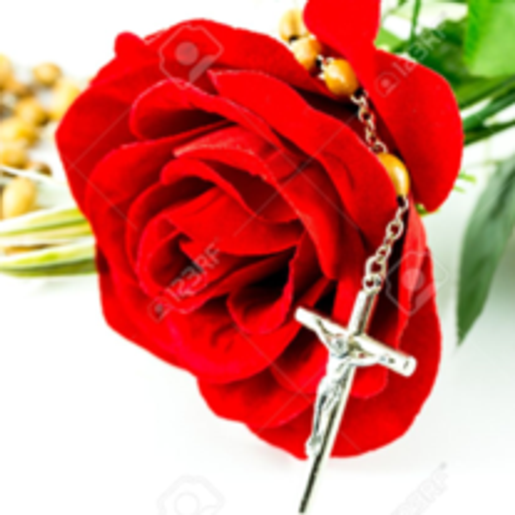 Jennie M. Toolan Profile Photo