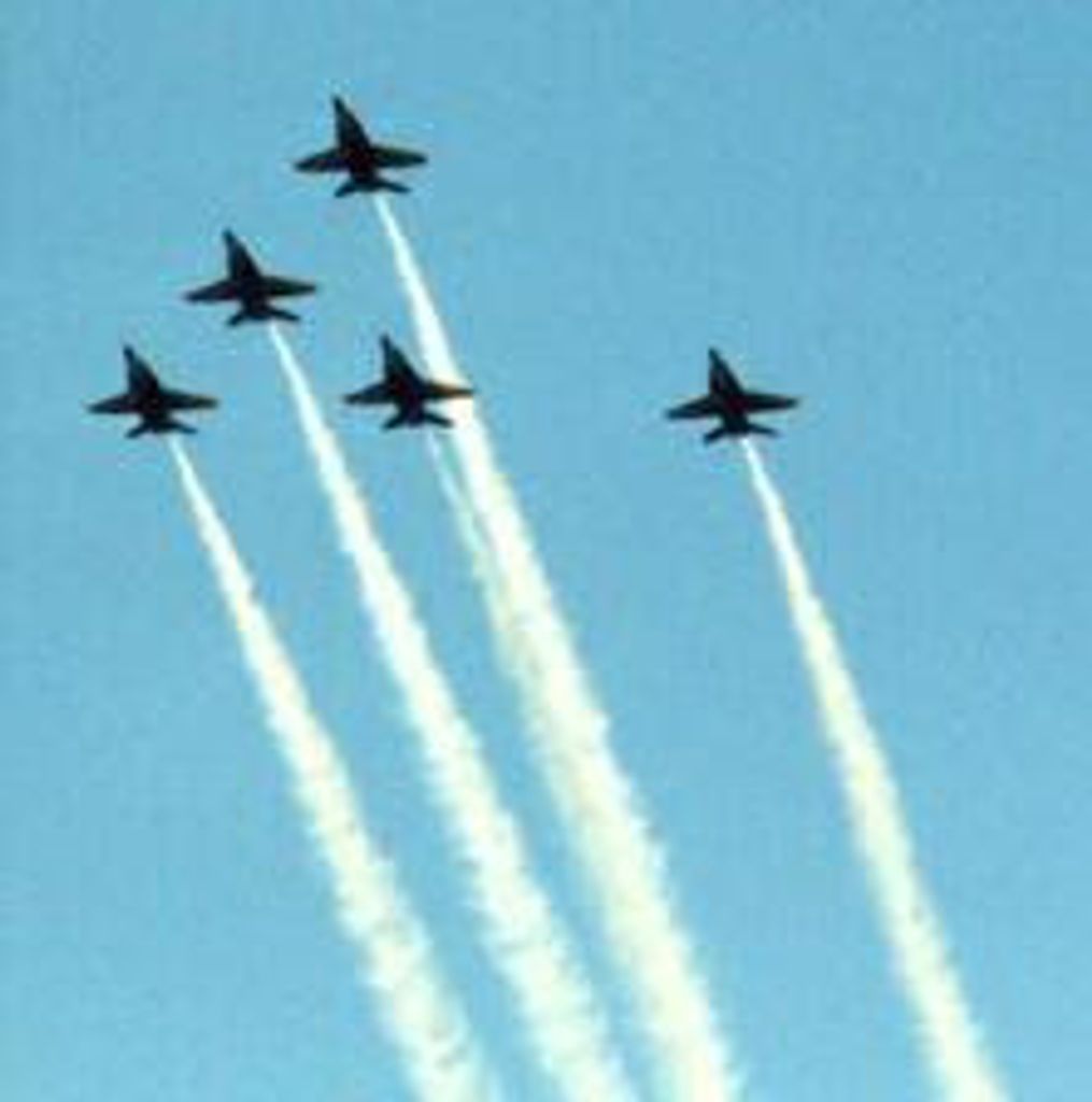 Michael Ivan Fish Profile Photo