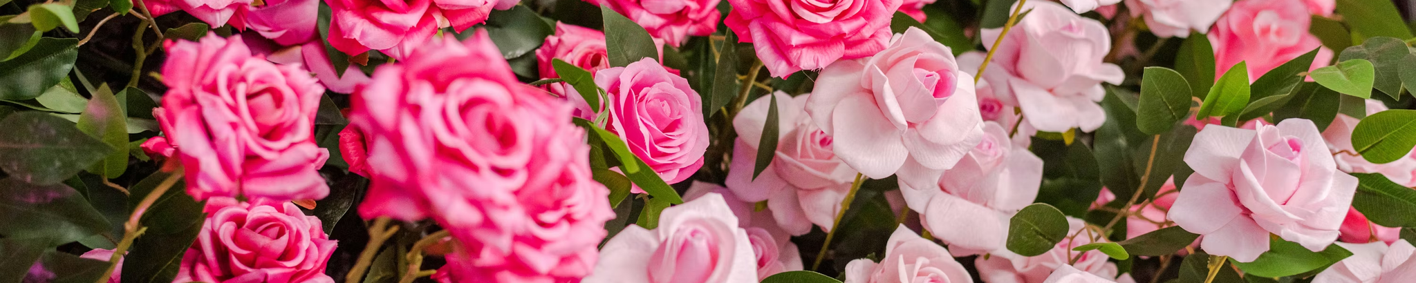 Cover for Dianne L. Duff's Obituary