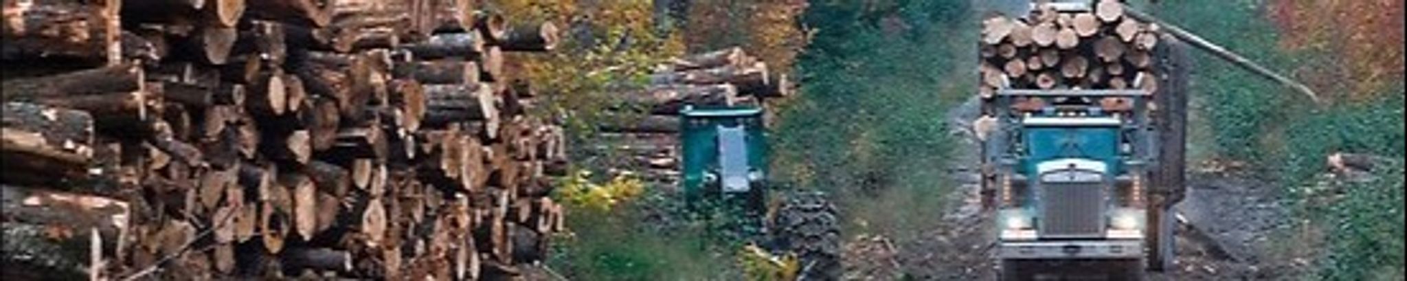 Cover for Michael H. "Micca" Tupick's Obituary