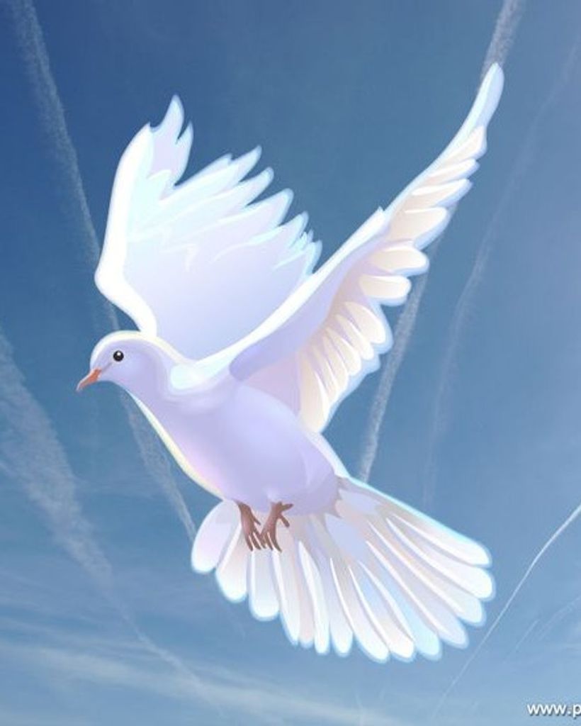 Suzanne Hughes Bacon